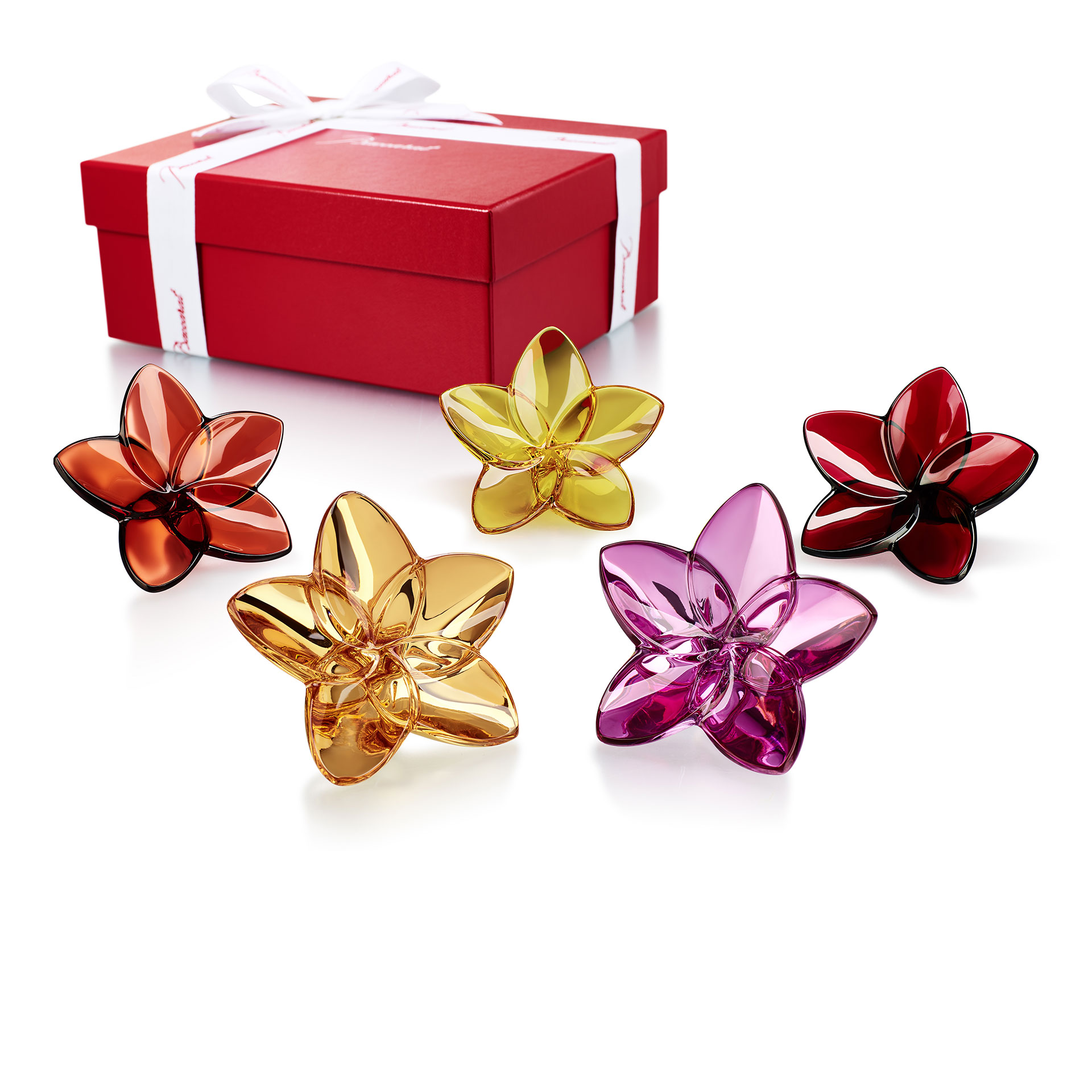 Baccarat «The Bloom Collection»,un detalle bello y elegante en Nini y Amalia