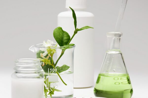 L’ORÉAL FOR THE FUTURE, ACELERANDO LOS ESFUERZOS PARA PRESERVAR EL PLANETA