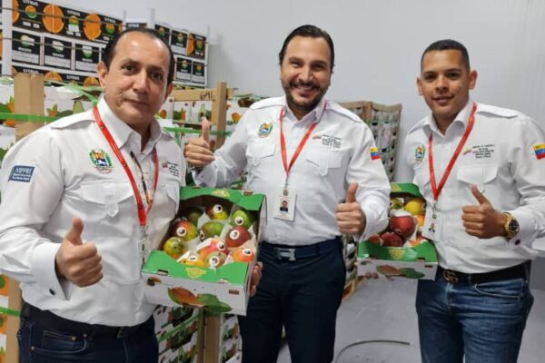 Exportaciones de Mangos Venezolanos llegan a Emiratos Árabes Unidos