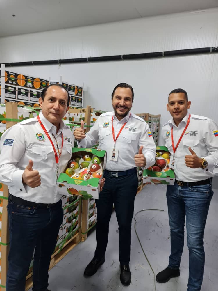 Exportaciones de Mangos Venezolanos llegan a Emiratos Árabes Unidos