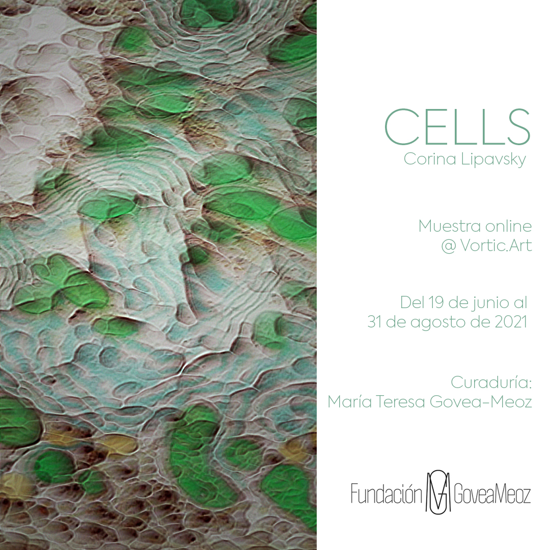CELLS | CORINA LIPAVSKY Exposición que presenta la FUNDACION GOVEA MEOZ en la plataforma virtual VORTIC.