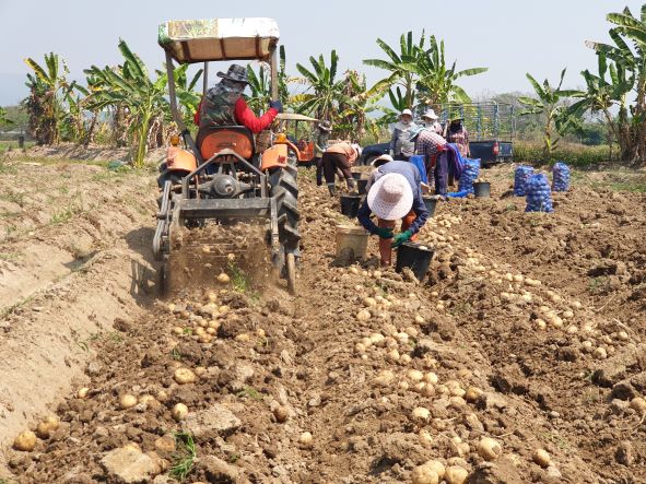 PEPSICO ANUNCIA UNA TRANSFORMACIÓN ESTRATÉGICA DE PUNTA A PUNTA:  pep+ (PepsiCo Positive)