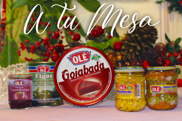 Olé te acompaña en tus festividades decembrinas