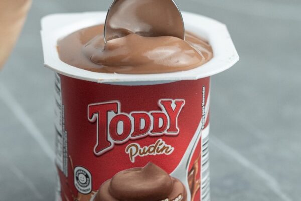 Llega al mercado el nuevo Toddy Pudín