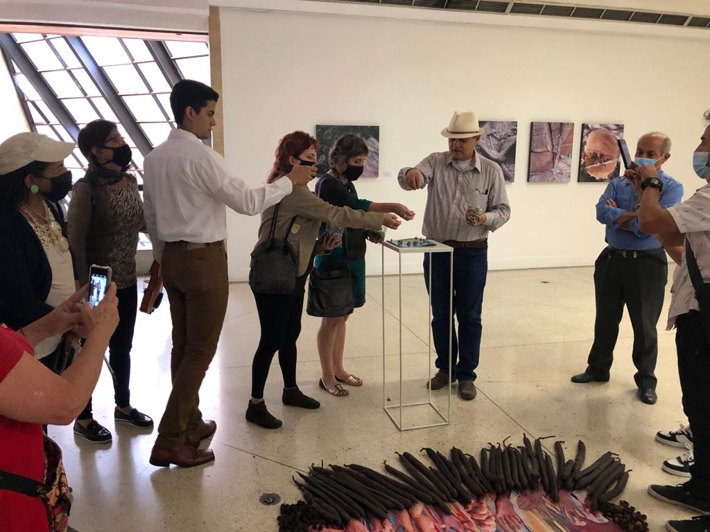El Museo Alejandro Otero llevó a cabo el bautizo del catálogo de la exposición CaminArte