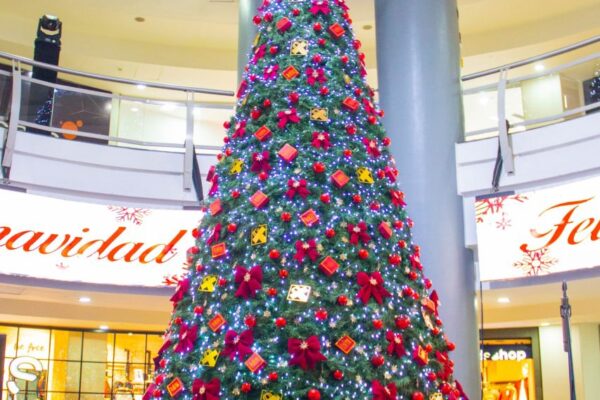 Se encendió la luz de la Navidad en Tolón Fashion Mall