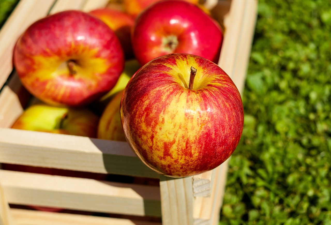 Consumir manzanas 🍎 evita el riesgo de muchas enfermedades