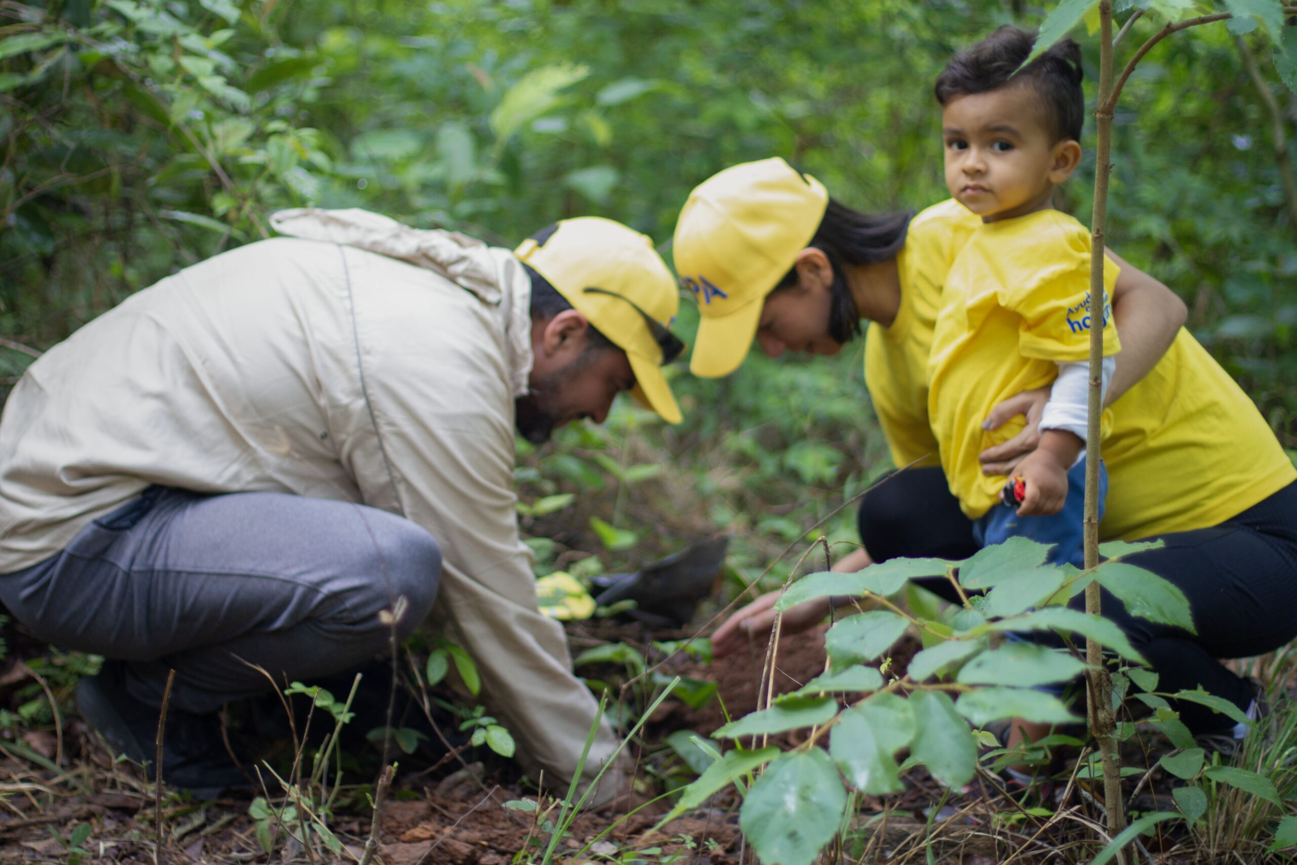 Epanos y comunidad realizaron  reforestación en el Casupo