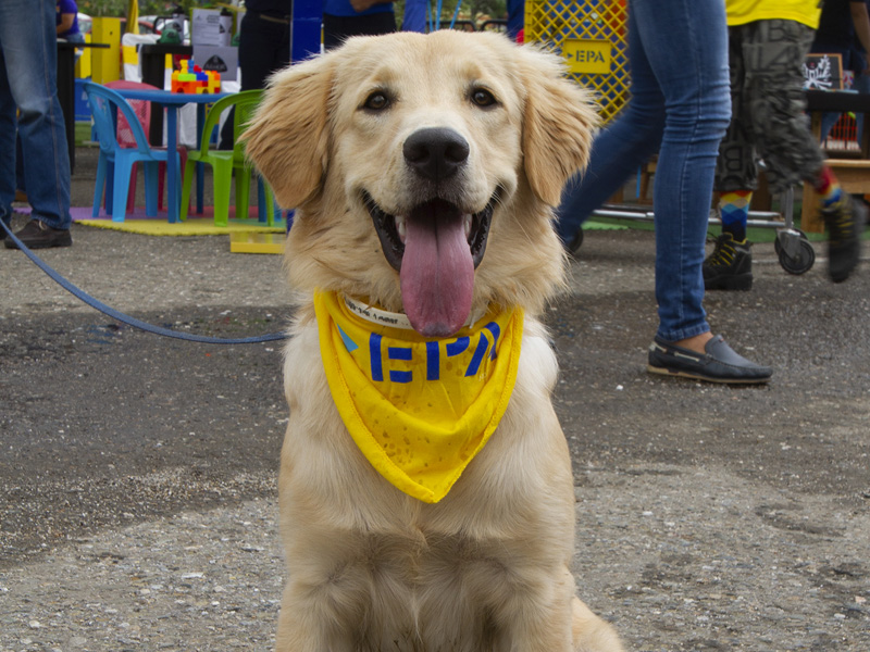 EPA realizará Feria de las Mascotas