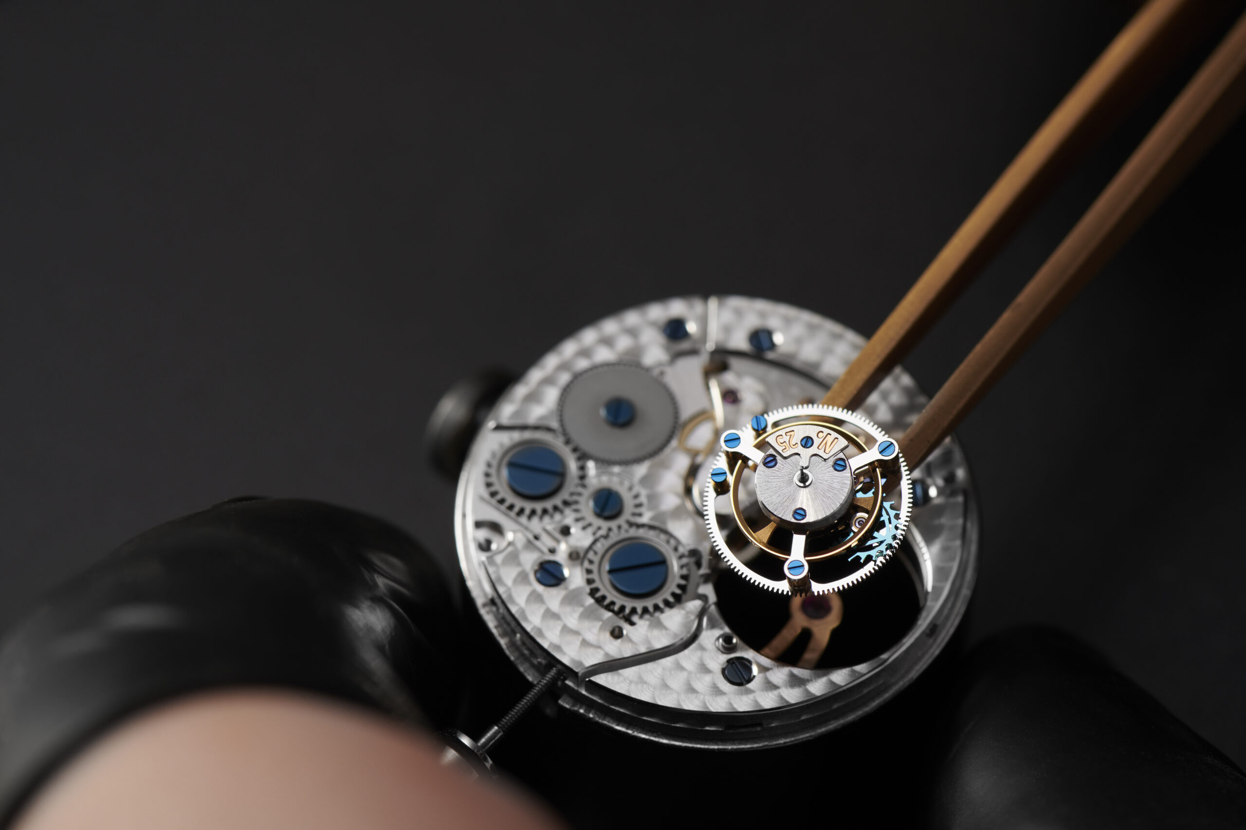 35 años, la epopeya de Frederique Constant