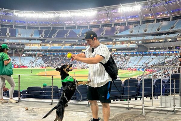 Las mascotas se suman a la fiesta del beisbol venezolano con PURINA® DOG CHOW®