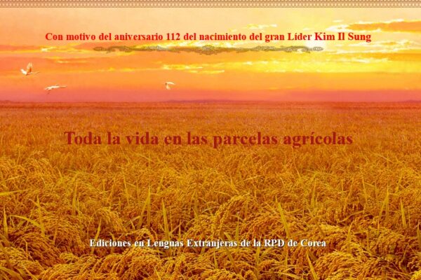 Con motivo del aniversario 112 del nacimiento del gran Líder Kim Il Sung  Toda la vida en las parcelas agrícolas