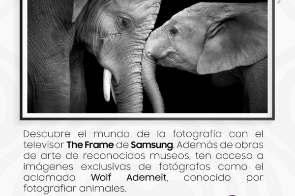 Descubre The Frame, el televisor de Samsung que te permite decorar el entorno con diferentes tipos de arte y fotografías