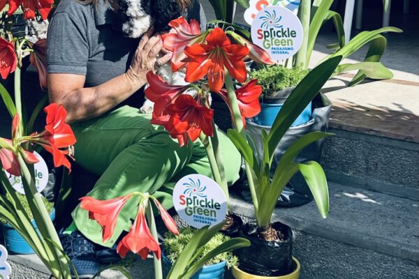 Sprickle Green presente en los Jardines Ecológicos de Topotepuy