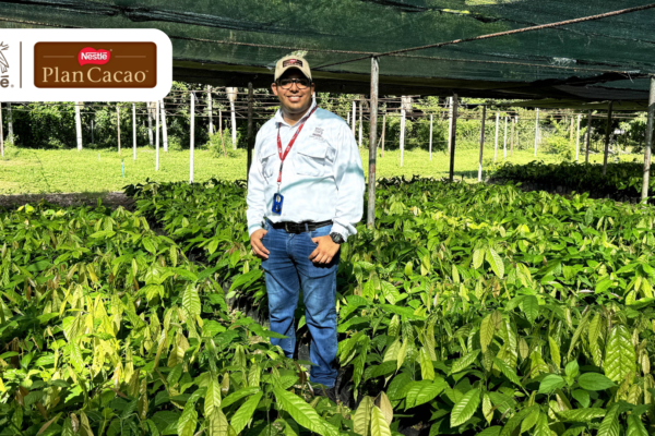 Plan Cacao Nestlé: 11 años impulsando el desarrollo del rubro en Venezuela