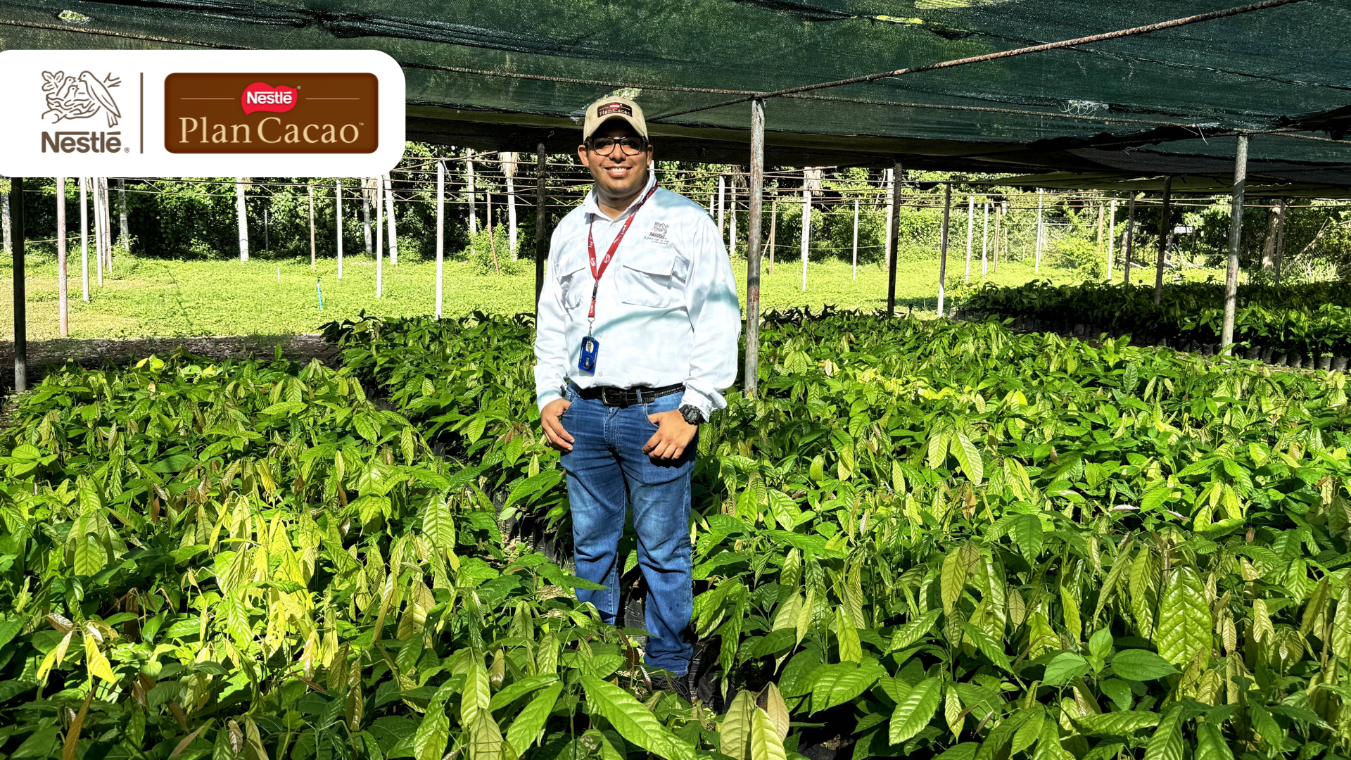 Plan Cacao Nestlé: 11 años impulsando el desarrollo del rubro en Venezuela