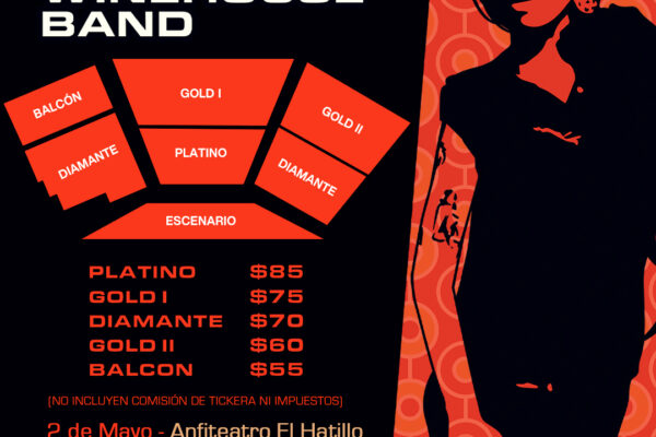 La banda de Amy Winehouse rendirá tributo a la artista en Venezuela