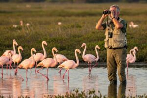 El Día Mundial de las Aves Migratorias se celebra este 10 de mayo
