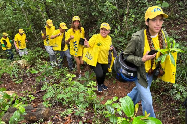 Epanos y comunidad sembraron más de 800 plantas