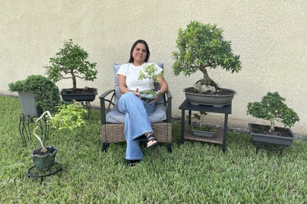 Yudith Suárez une el arte y la pasión por el bonsai en BonsaiCaracas