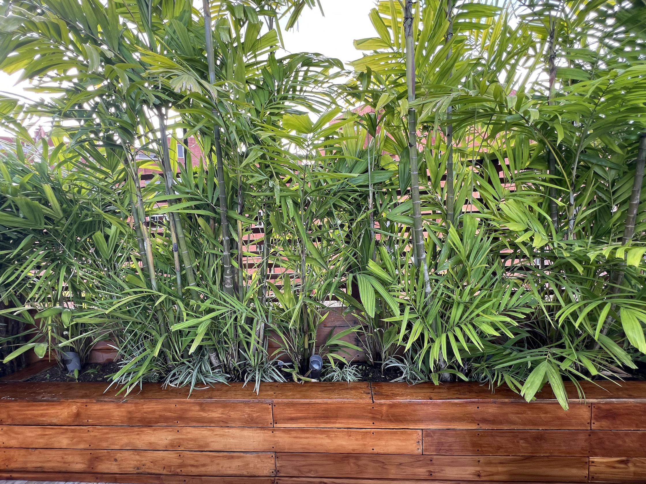 Sprickle Green redefine el concepto de lujo urbano con jardines en altura