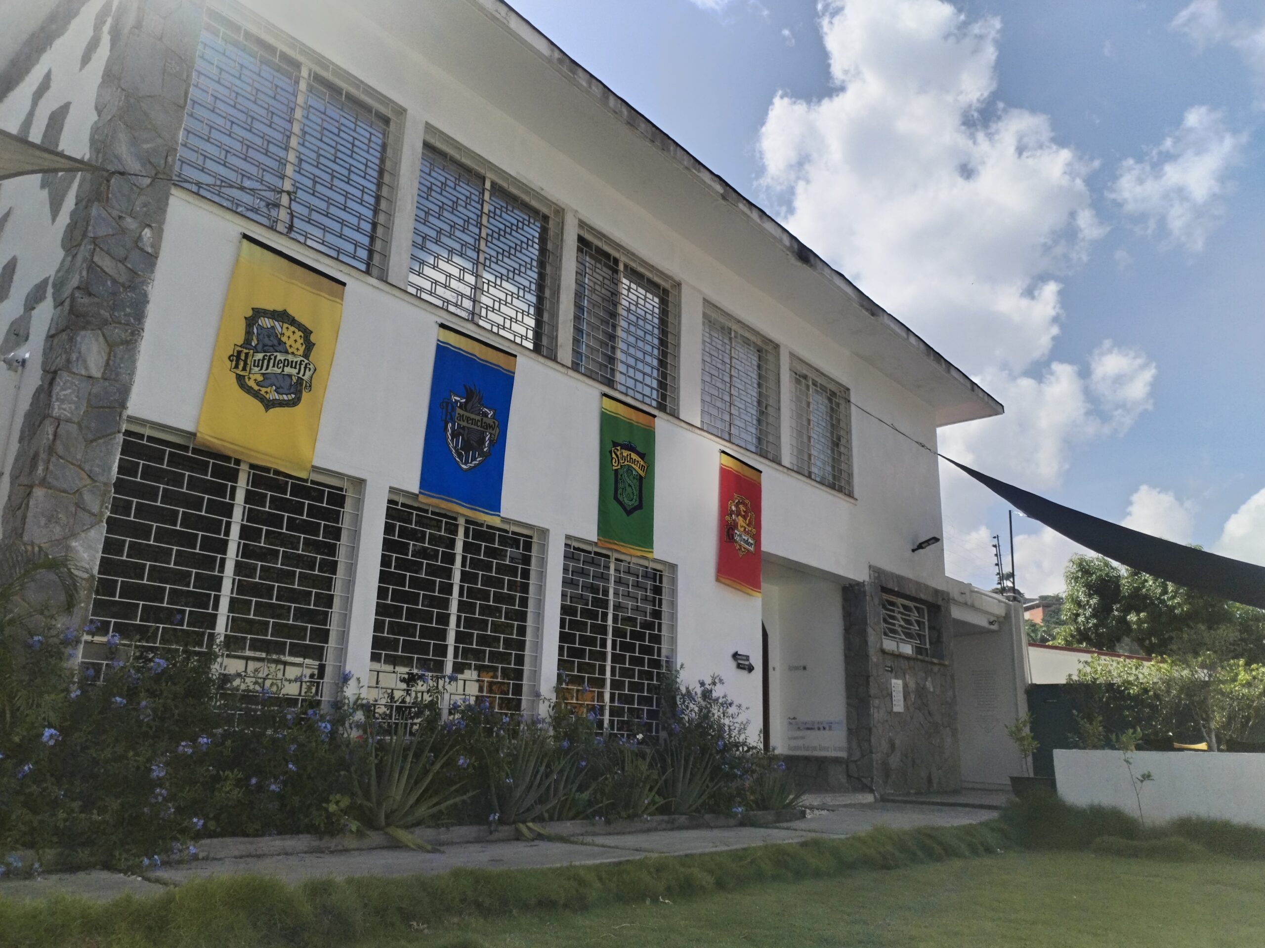 Harry Potter en el Museo del Libro Venezolano se viste de verde   (y no por Slytherin)