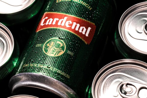 Cardenal vuelve a levantar el vuelo