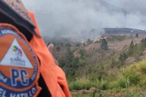 Fernando Melena: «Durante el primer trimestre se logró una reducción del 12% de los incendios forestales en El Hatillo»