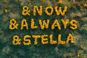 H&M PRESENTA SU NUEVA COLECCION EN COLABORACION CON STELLA MCCARTNEY