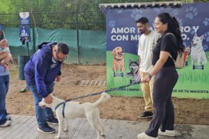 Alcaldía de El Hatillo impulsó el bienestar animal con jornada de vacunación gratuita en La Lagunita