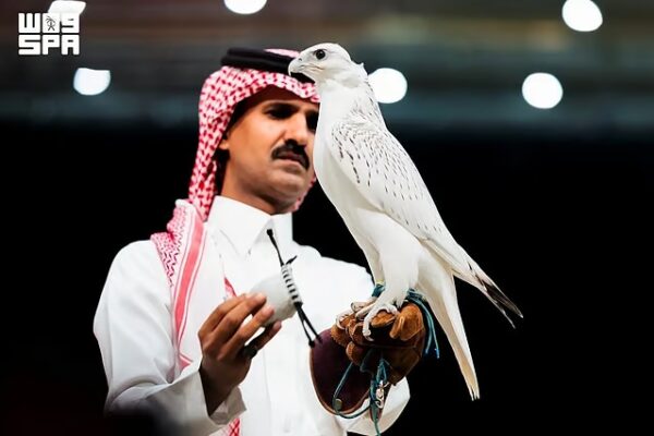 El halcón más caro de 2026 se vende por 346.000 dólares en Arabia Saudita