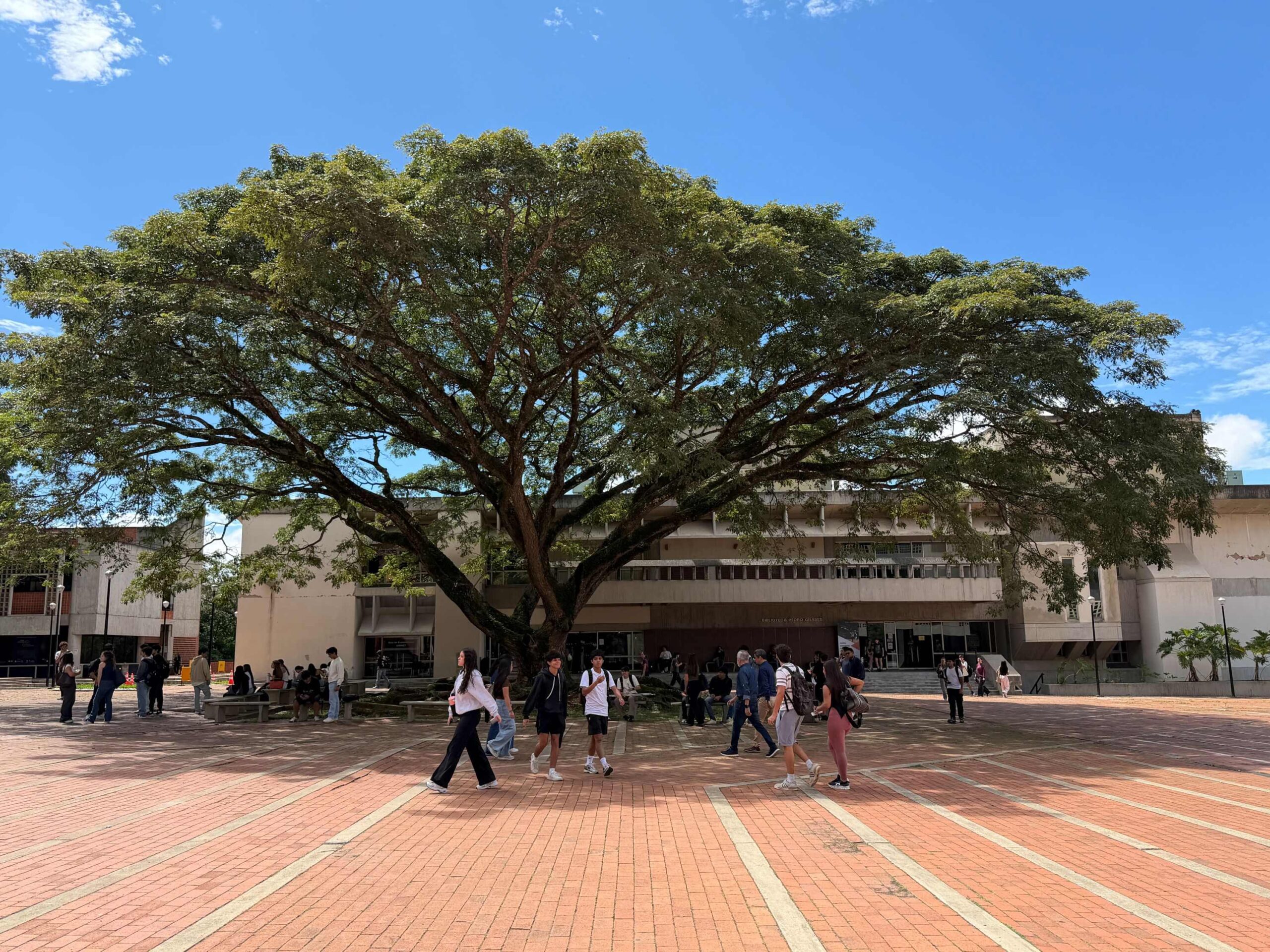 UNIMET se ubica en el Top 10 % de universidades con mejor reputación entre empleadores de Latinoamérica